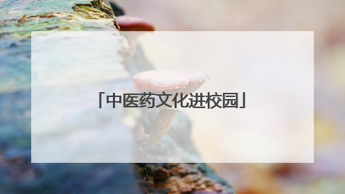 中医药文化进校园