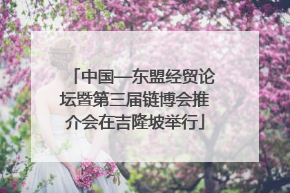 中国—东盟经贸论坛暨第三届链博会推介会在吉隆坡举行