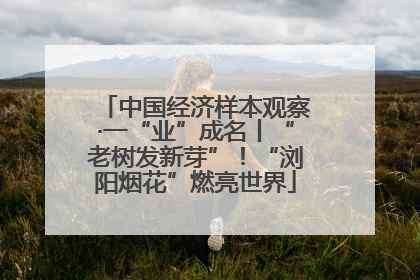 中国经济样本观察·一“业”成名丨“老树发新芽”！“浏阳烟花”燃亮世界