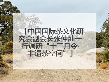 中国国际茶文化研究会副会长张仲灿一行调研“十二月令·非遗茶空间”