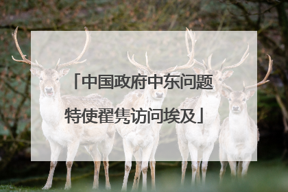 中国政府中东问题特使翟隽访问埃及
