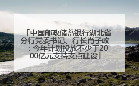 中国邮政储蓄银行湖北省分行党委书记、行长肖子政：今年计划投放不少于2000亿元支持支点建设