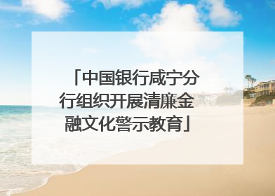 中国银行咸宁分行组织开展清廉金融文化警示教育