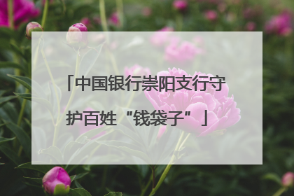中国银行崇阳支行守护百姓“钱袋子”
