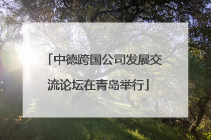 中德跨国公司发展交流论坛在青岛举行