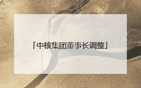 中核集团董事长调整