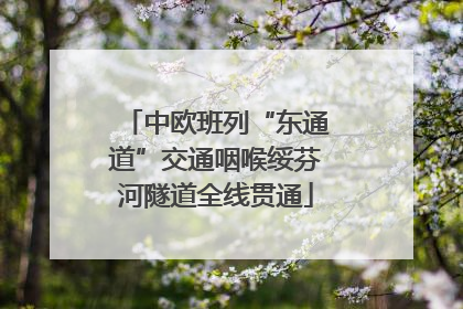 中欧班列“东通道”交通咽喉绥芬河隧道全线贯通