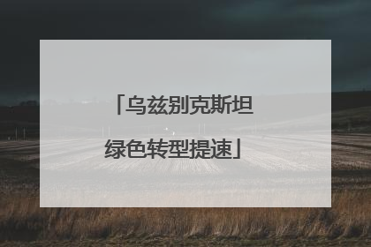 乌兹别克斯坦绿色转型提速