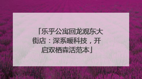 乐乎公寓回龙观东大街店：深系暖科技，开启双栖森活范本