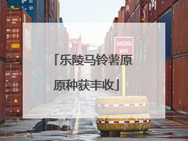 乐陵马铃薯原原种获丰收