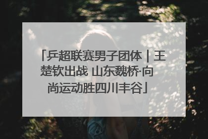 乒超联赛男子团体｜王楚钦出战 山东魏桥·向尚运动胜四川丰谷