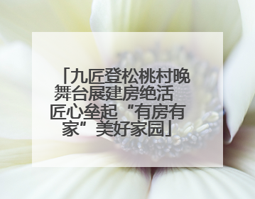 九匠登松桃村晚舞台展建房绝活 匠心垒起“有房有家”美好家园