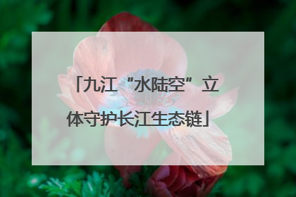 九江“水陆空”立体守护长江生态链