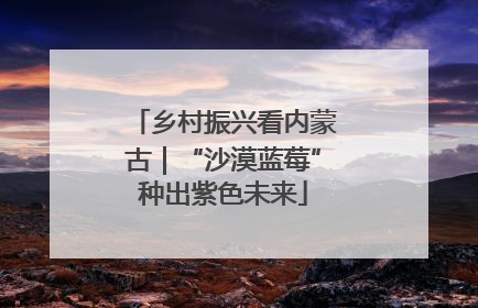 乡村振兴看内蒙古｜“沙漠蓝莓”种出紫色未来