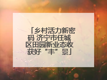 乡村活力新密码 济宁市任城区田园新业态收获好“丰”景