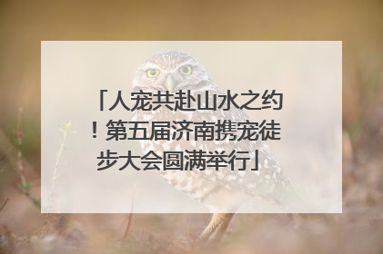 人宠共赴山水之约！第五届济南携宠徒步大会圆满举行