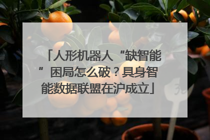 人形机器人“缺智能”困局怎么破？具身智能数据联盟在沪成立