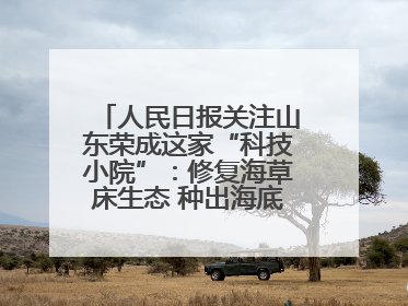 人民日报关注山东荣成这家“科技小院”：修复海草床生态 种出海底“森林”