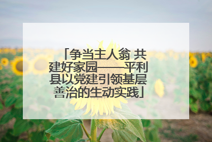 争当主人翁 共建好家园——平利县以党建引领基层善治的生动实践