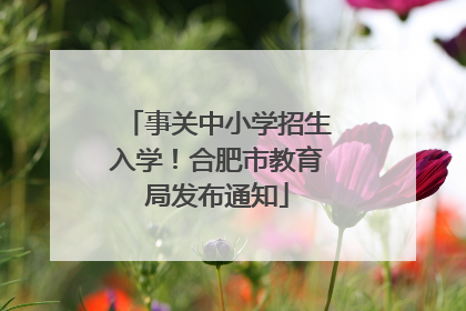 事关中小学招生入学！合肥市教育局发布通知