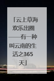 云上草海 欢乐出圈——有一种叫云南的生活之365天