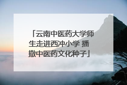 云南中医药大学师生走进西冲小学 播撒中医药文化种子