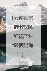 云南师宗：借电驭风，鲜花产业“破圈出海”