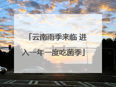 云南雨季来临 进入一年一度吃菌季