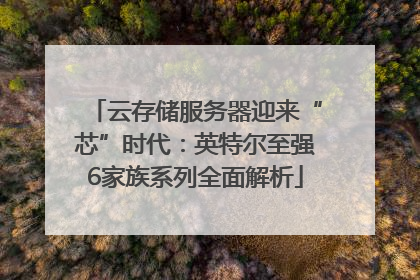 云存储服务器迎来“芯”时代：英特尔至强6家族系列全面解析