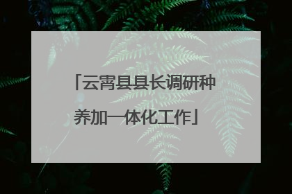 云霄县县长调研种养加一体化工作