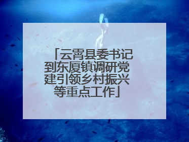 云霄县委书记到东厦镇调研党建引领乡村振兴等重点工作