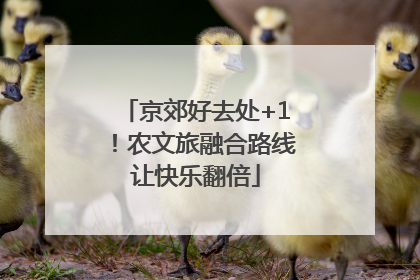 京郊好去处+1！农文旅融合路线让快乐翻倍