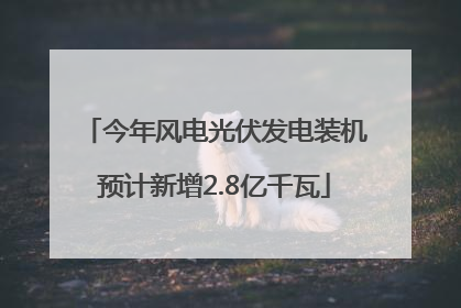 今年风电光伏发电装机预计新增2.8亿千瓦