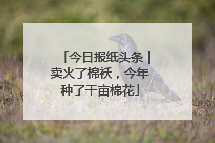 今日报纸头条｜卖火了棉袄，今年种了千亩棉花