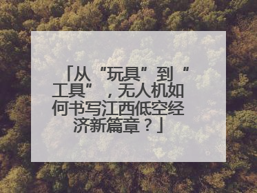 从“玩具”到“工具”，无人机如何书写江西低空经济新篇章？