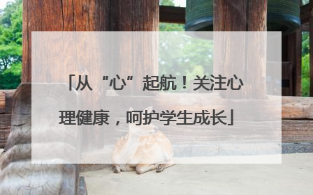 从“心”起航！关注心理健康，呵护学生成长