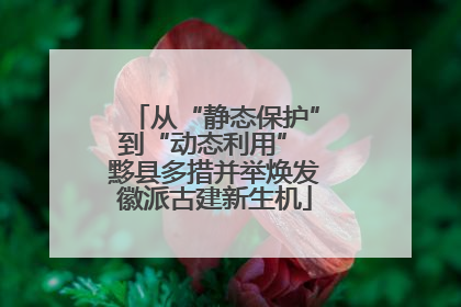 从“静态保护”到“动态利用” 黟县多措并举焕发徽派古建新生机