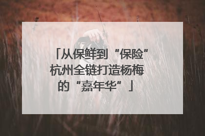 从保鲜到“保险” 杭州全链打造杨梅的“嘉年华”