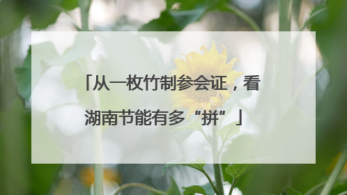 从一枚竹制参会证，看湖南节能有多“拼”
