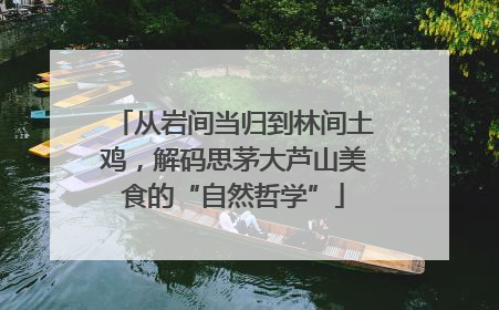 从岩间当归到林间土鸡，解码思茅大芦山美食的“自然哲学”