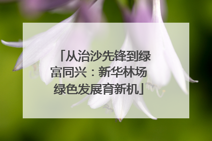 从治沙先锋到绿富同兴：新华林场绿色发展育新机