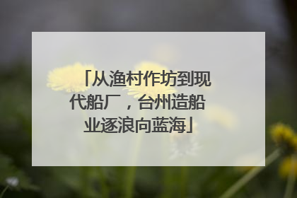 从渔村作坊到现代船厂，台州造船业逐浪向蓝海