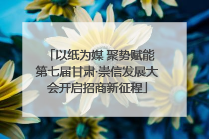 以纸为媒 聚势赋能 第七届甘肃·崇信发展大会开启招商新征程