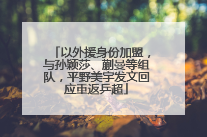 以外援身份加盟，与孙颖莎、蒯曼等组队，平野美宇发文回应重返乒超