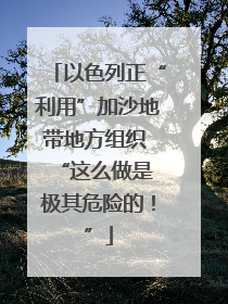 以色列正“利用”加沙地带地方组织  “这么做是极其危险的！”