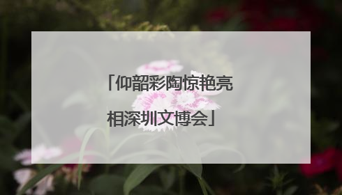 仰韶彩陶惊艳亮相深圳文博会