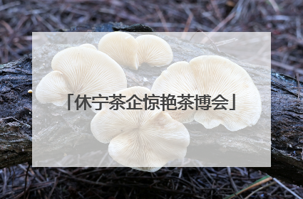 休宁茶企惊艳茶博会
