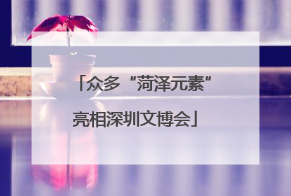 众多“菏泽元素”亮相深圳文博会