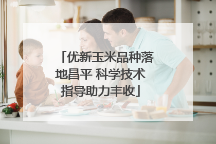 优新玉米品种落地昌平 科学技术指导助力丰收