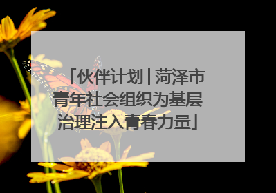 伙伴计划│菏泽市青年社会组织为基层治理注入青春力量
